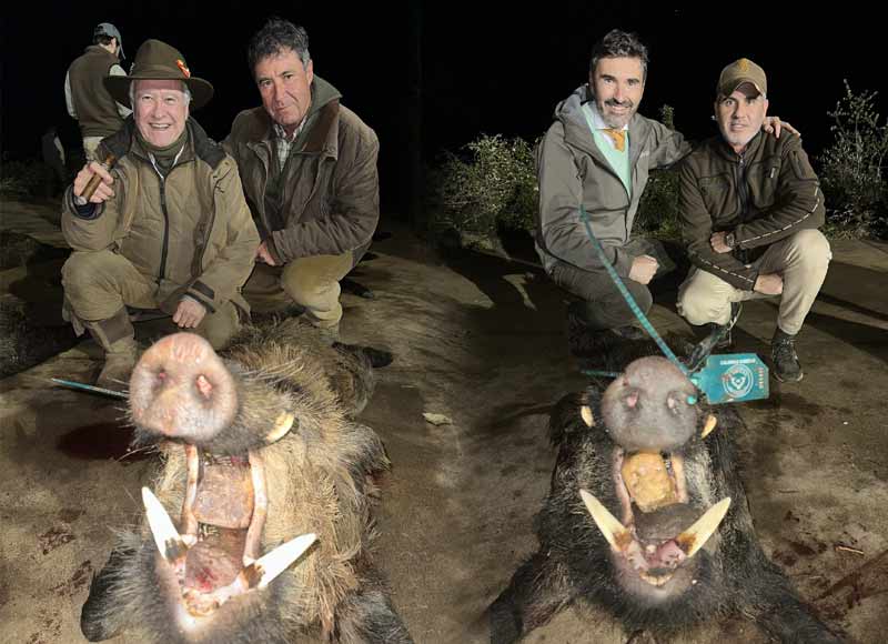 Resultado Montería Valles de Silvadillo 2024 Cabezas Servicios de Caza